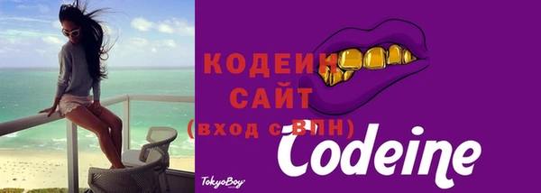 шишки Сосновый Бор