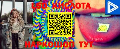 мдпв Волгодонск