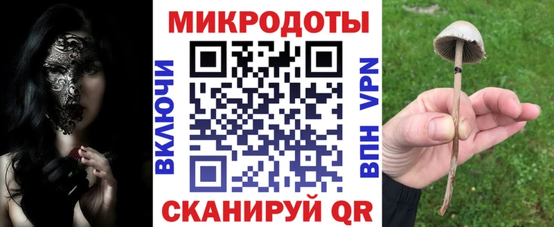 даркнет сайт  Волжск  Галлюциногенные грибы Psilocybine cubensis 