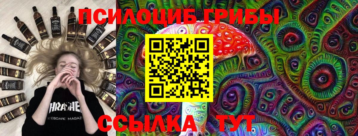 Галлюциногенные грибы Psilocybe Волжск