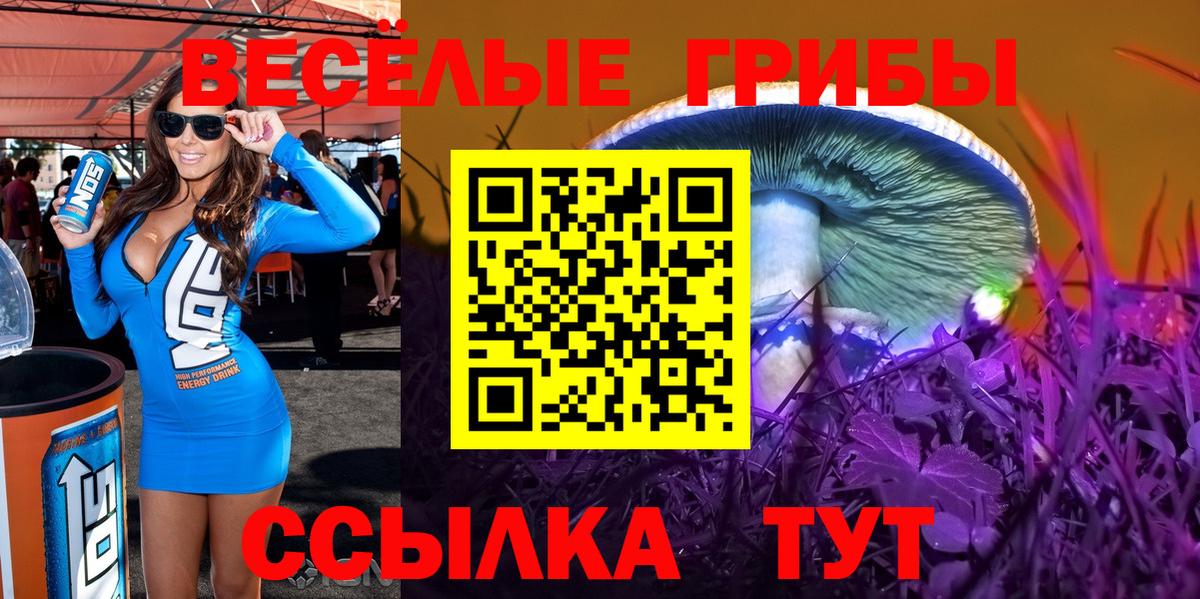 Галлюциногенные грибы GOLDEN TEACHER  Волжск 
