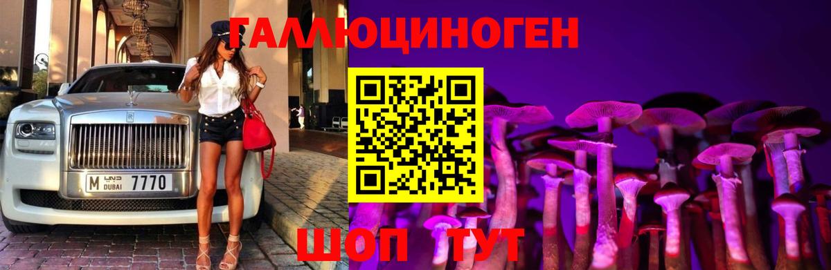 ЭКСТАЗИ  Гашиш  Купить наркотик  NBOMe  Меф МЯУ МЯУ кристаллы  КОКАИН  КЕТАМИН  Волжск  MDMA  Марихуана 