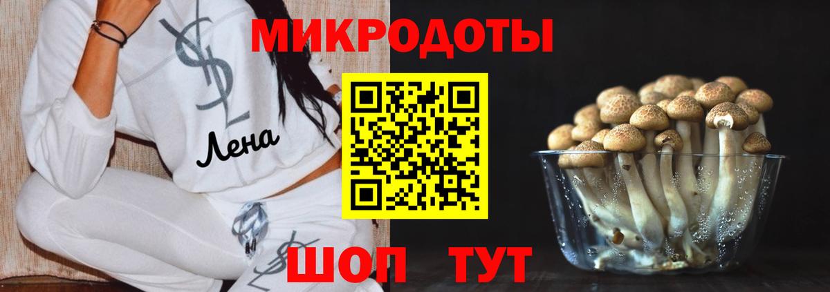 Волжск  Псилоцибиновые грибы Psilocybine cubensis  сколько стоит  Галлюциногенные грибы Cubensis  Вход с VPN 