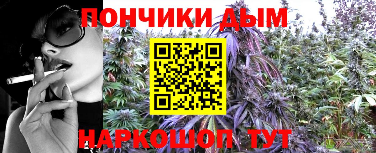 Волжск  Каннабис SATIVA & INDICA  Бошки Шишки THC 21%  Бошки марихуана гибрид  Вход с VPN 