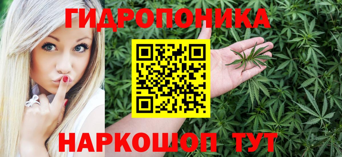 Шишки марихуана гибрид Волжск